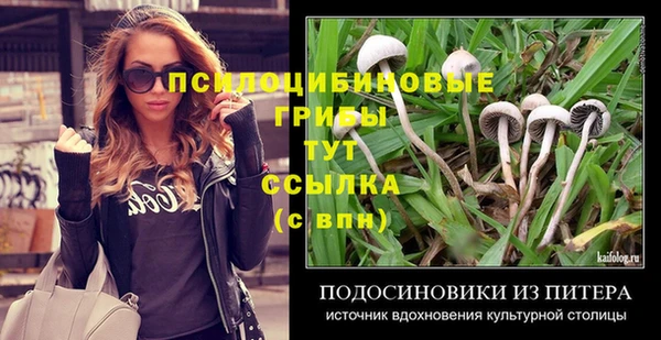 apvp Армянск