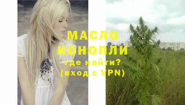 мдпв Гатчина