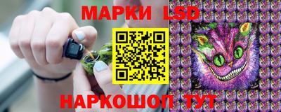 стаф Владивосток