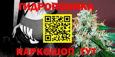 стаф Владивосток