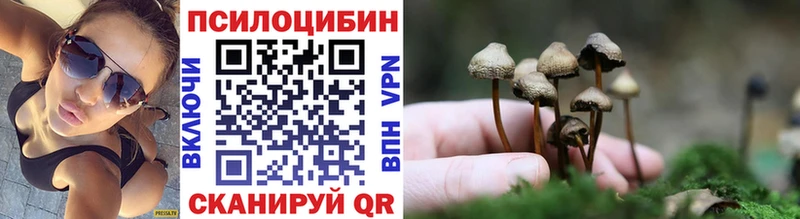 Галлюциногенные грибы Psilocybine cubensis  где можно купить наркотик  OMG tor  Боровичи 